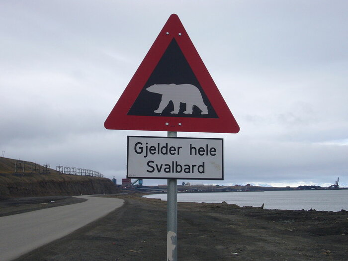 Warnung vor Eisbären auf Spitzbergen