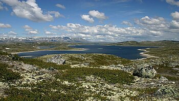 Hardangervidda, Fjell in Norwegen