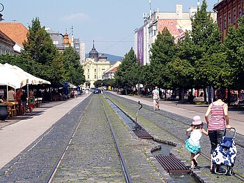 Slowakische Einwohner