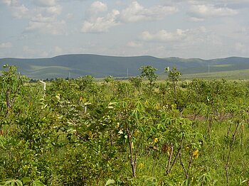 Landschaft im Süden der Republik Kongo