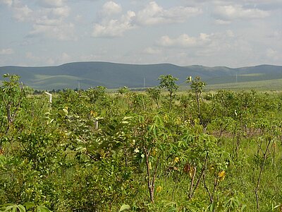 Republik Kongo Land