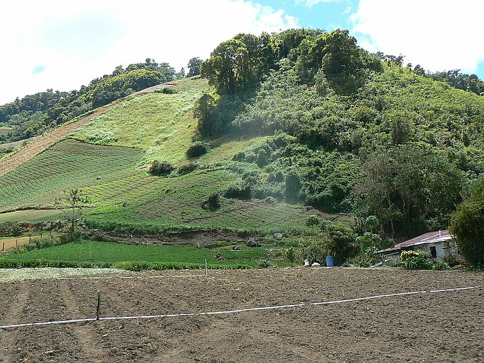 Bauernhof in Panama