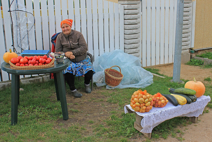 Straßenverkauf von Obst in Estland