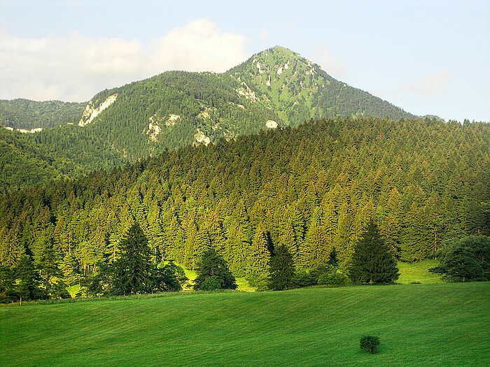 Gipfel im Fatra-Gebirge