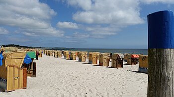 Strand auf Fehmarn