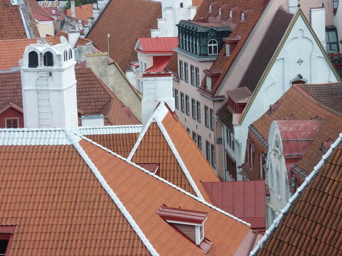 Dächer in Tallinn