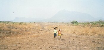 Kinder in Guinea sammeln Feuerholz