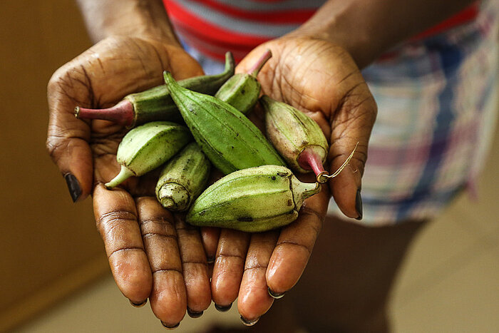 Okraschoten aus Liberia