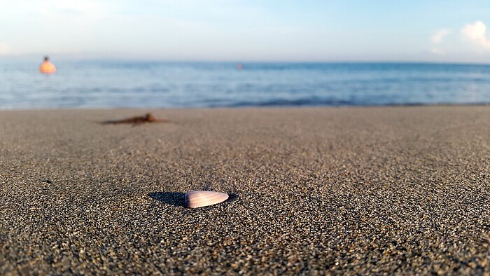 Strand in Honduras