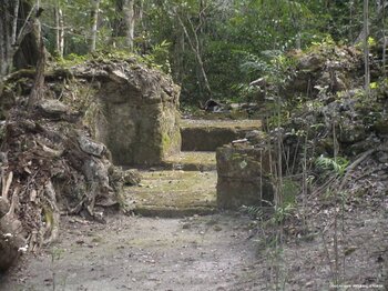 Maya-Ruinen von Nakbé