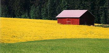 Landwirtschaft: Felder in Finnland