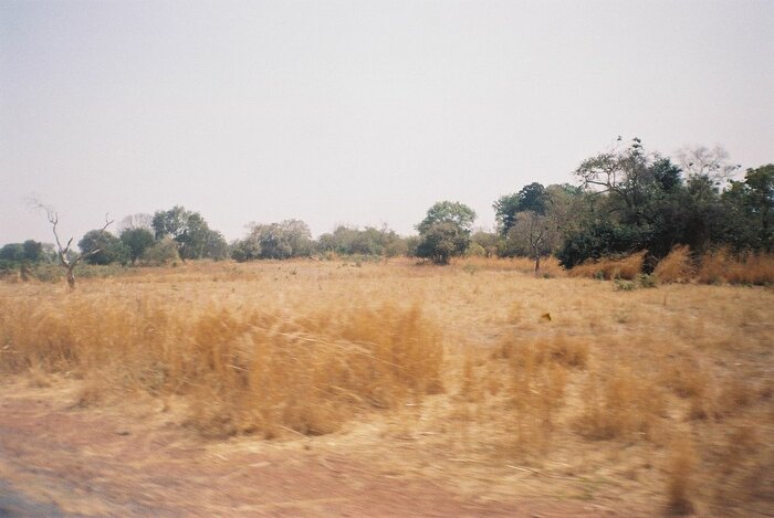 Landschaft in Gambia