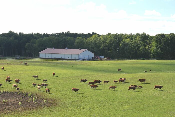Milchfarm in Michigan