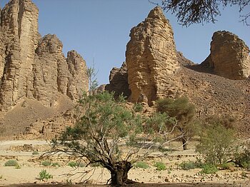 Guelta von Essendilène