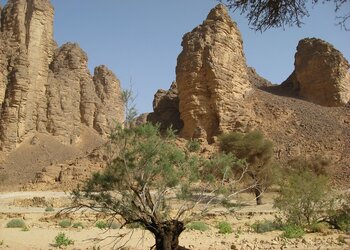 Landschaft in Algerien: Wüste und Oase Wüste und Oase in Algerien