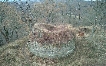 Bergfried der Burg Anhalt im Harz