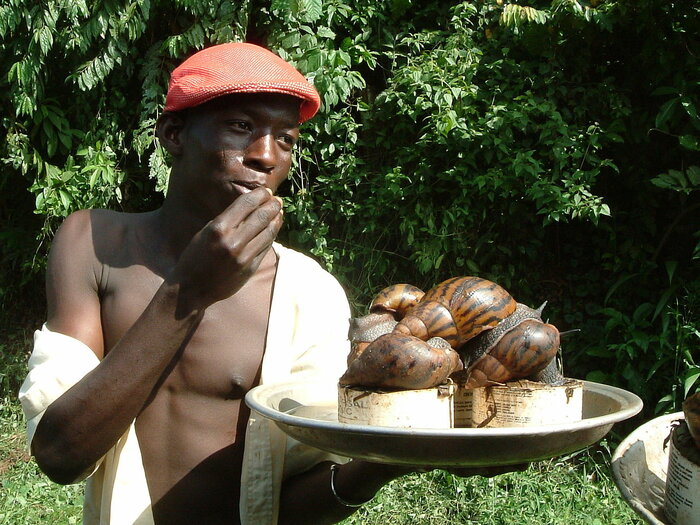 Schneckenverkäufer in Ghana