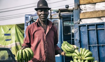 Guinea Handel mit Bananen