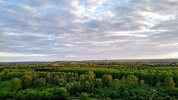 Berlin Ausblick Arkenberge