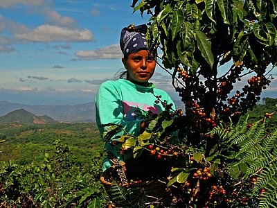 Wirtschaft in El Salvador