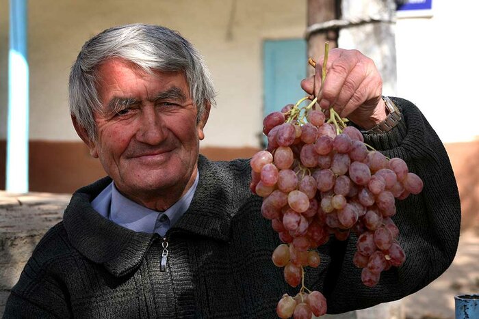 Weintrauben aus Tadschikistan