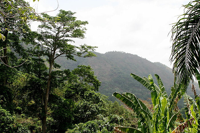 Berge bei Kpalimé