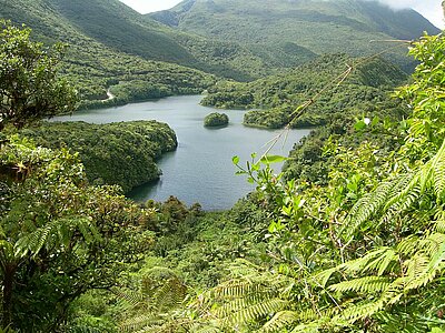 Dominica Land