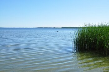 Größte Seen in Mecklenburg-Vorpommern