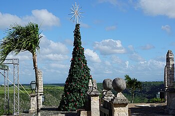 Weihnachtsbaum in Altos de Chavos