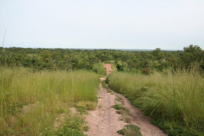 Savanne im Nationalpark W in Benin
