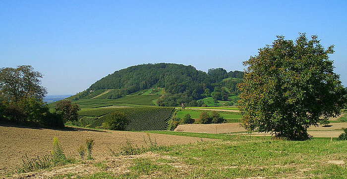 Hessische Bergstraße