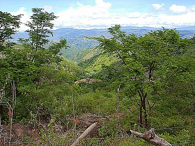 Honduras Land