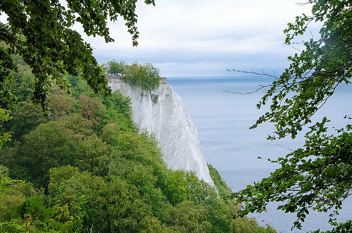 Steilküste Rügen