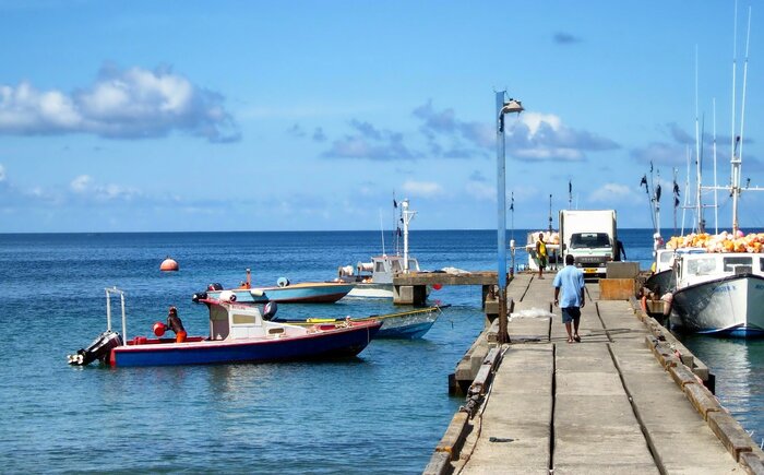 Fischerboote in Grenada