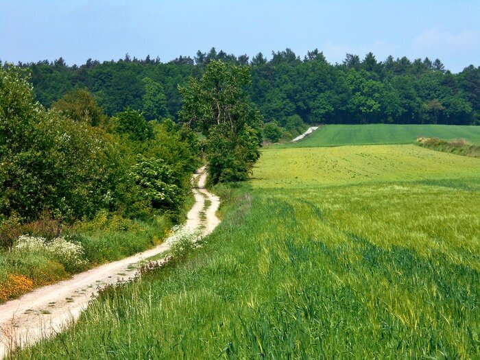 Landschaft in Polen