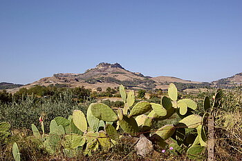 Landschaft auf Sizlien bei mediterranem Klima