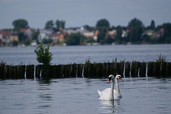 Großer Müggelsee