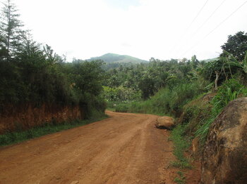 Straße in Kamerun