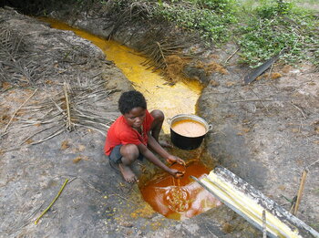 Kinderarbeit in der DR Kongo: Palmölherstellung