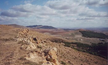 Schotts in Algerien