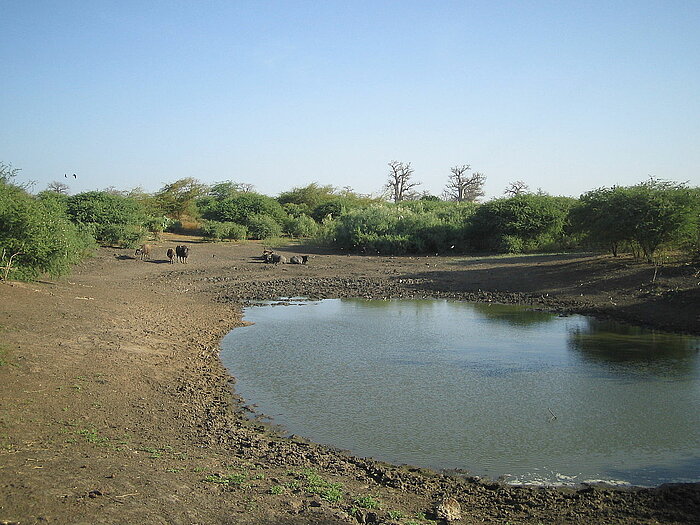 Landschaft im Bandia-Naturreservat