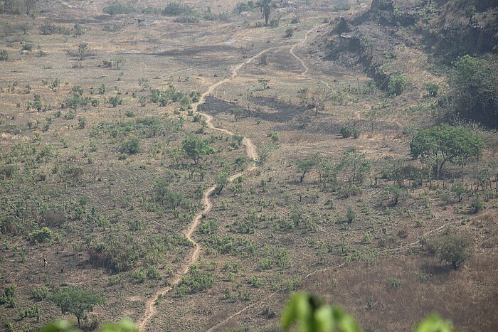 Flache Landschaft in Niederguinea