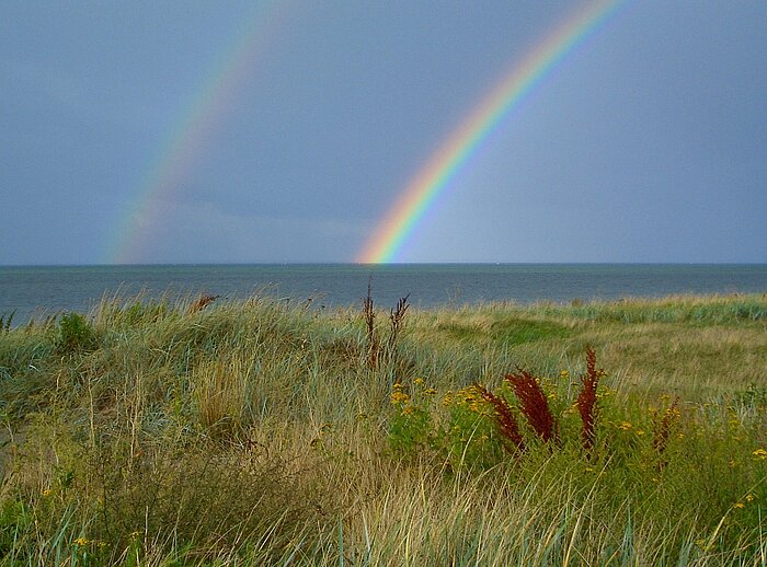 Regenbogen in Dänemark