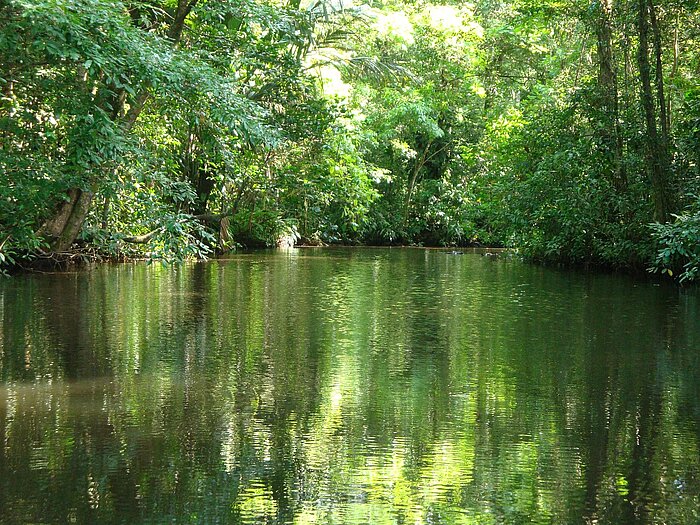 Nationalpark in Costa Rica