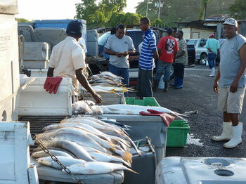 Fischmarkt in San Fernando auf Trinidad