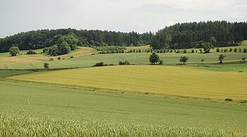 Geschichte Niedersachsen