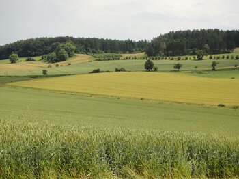 Niedersachsen Landwirtschaft