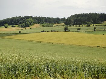 Ackerland Niedersachsen