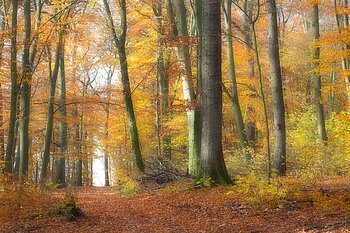 Natur in Nordrhein-Westfalen