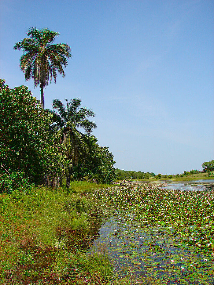 Kiang West National Park